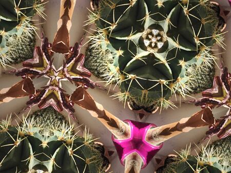 beautiful Kaleidoscope flower background with a lot of colors and abstract themes
