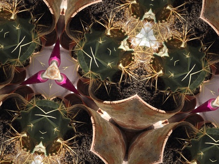 beautiful Kaleidoscope flower background with a lot of colors and abstract themes