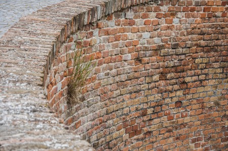 Detail of old brick wall. Brick wall background