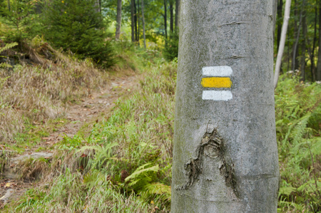 oYellow tourist sign on a bark of tree. Typical tourist sign in Europe for touristsの写真素材
