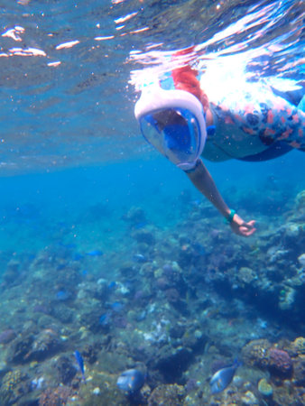 Underwater view of a woman snorkeling in coral reefの写真素材