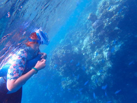 Young woman snorkeling in tropical coral reef with fishes.の写真素材