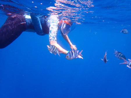 Woman snorkeling in deep blue sea with tropical fish.の写真素材