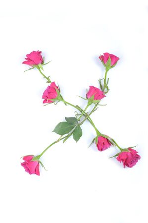 letter X maded from rosesの写真素材