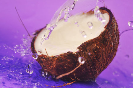 ripe coconut and water splashes on violetの写真素材