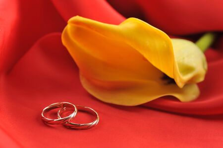 wedding rings and yellow flower on red backgroundの写真素材