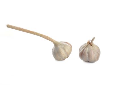Fresh garlic isolated on whiteの写真素材