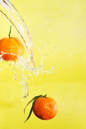 two tangerines and water splashes on yellow, close upの写真素材