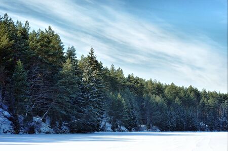 Winter day in  forest and blue sky landscapeの写真素材