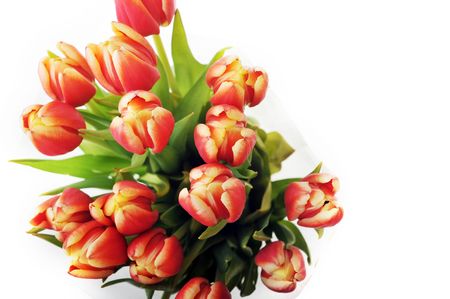 bouquet of many red tulipsの写真素材