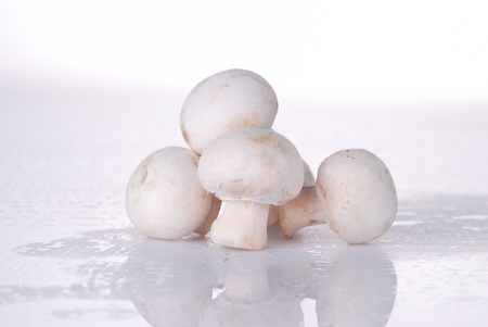 fresh unwashed  champignon mushroom close upの写真素材