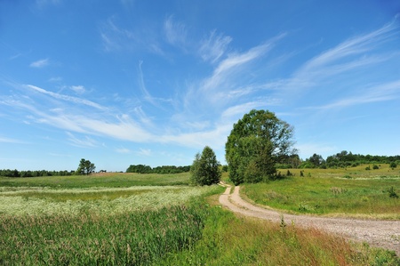rural road among fields and sky with clouds