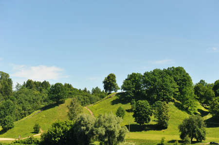 summer landscape.  deciduous trees on  green hillの写真素材