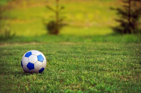 soccer ball on  green lawn. summer's dayの写真素材