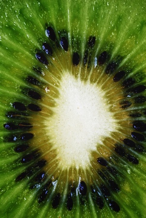 fresh green kiwi slice, , textureの写真素材
