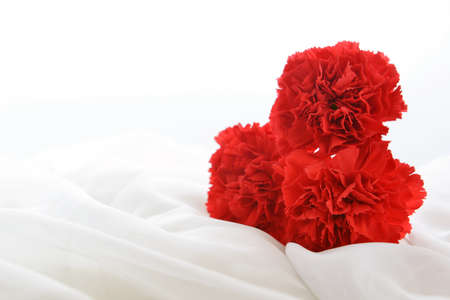 red cloves on white silk isolatedの写真素材