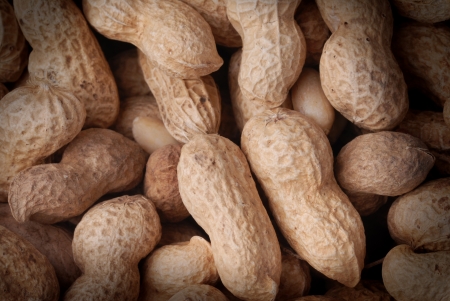 roasted peanuts in shell, vegetable  eating foodの写真素材