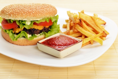 Tasty and appetizing hamburger with fries on white plateの写真素材