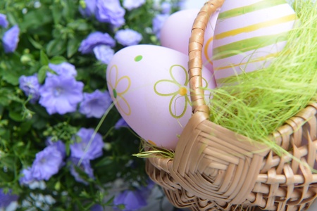 blue campanula flowers  and easter eggs