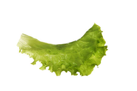 leaf fresh lettuce isolated on white backgroundの写真素材