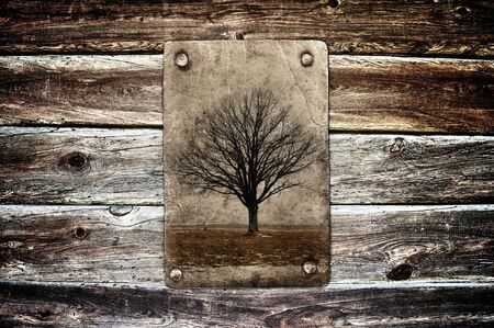 tree without leaves on grunge paperの写真素材