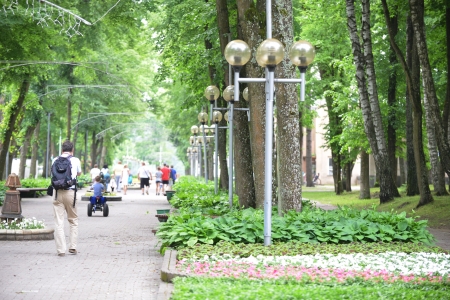 beautiful lantern in park summer dayの写真素材