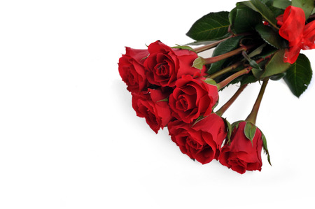red roses and ring isolated on white の写真素材