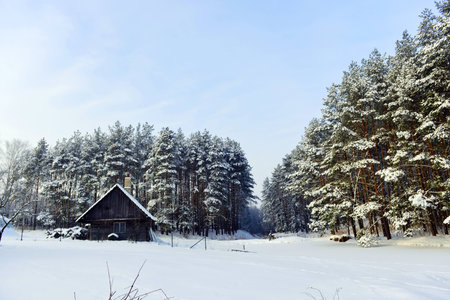 cabana on  bank of  frozen lake, followed by winter forestの写真素材