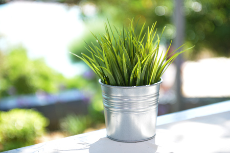 fresh green grass in potの写真素材