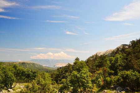 green trees on  mountain slopesの写真素材
