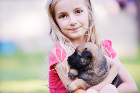 Little girl with puppy belgian shepherd malinois in  handsの写真素材