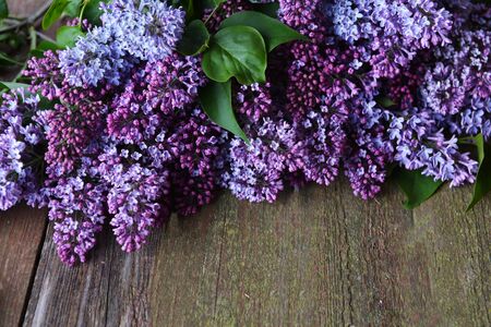 branch of lilac on wooden backgroundの写真素材