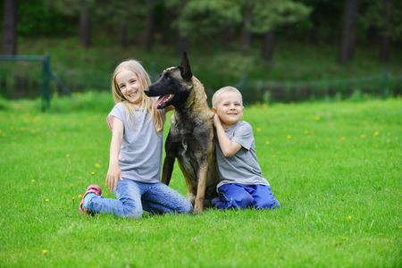 girl and her brother playing with dogs on grassの写真素材