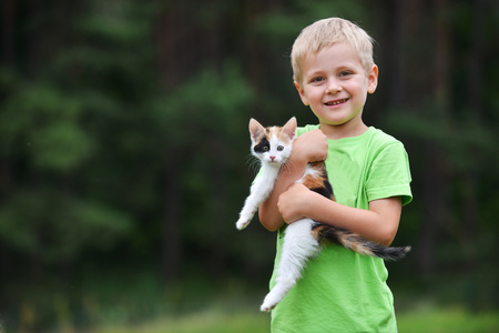 boy playing  with motley cat on green grassの写真素材