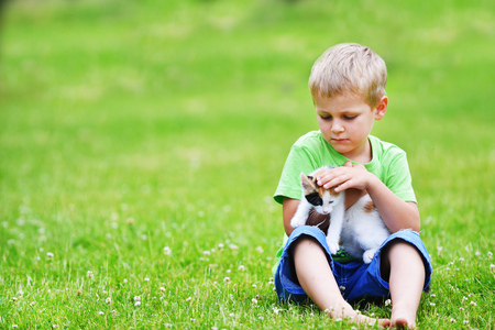 boy playing  with motley cat on green grassの写真素材