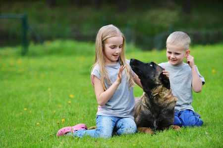 girl and her brother playing with dogs on grassの写真素材