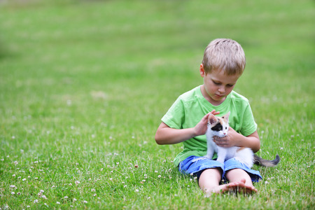 boy playing  with motley cat on green grassの写真素材