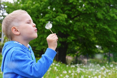 boy bloweing on dandelion. summer dayの写真素材