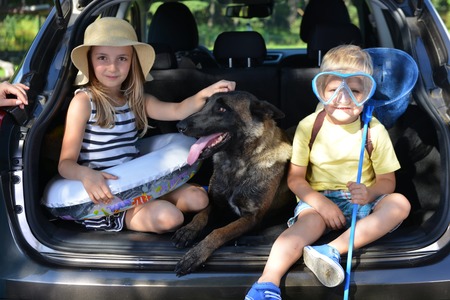 little girl , her brother and dog sits in carの写真素材