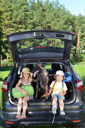 little girl , her brother and dog sits in carの写真素材