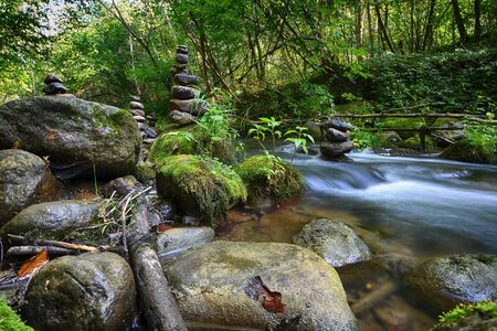 Stones on shore of forest riverの写真素材