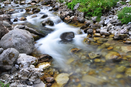 creek with running water in mountain