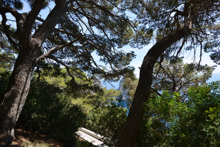 footpath in park of mountain townの写真素材