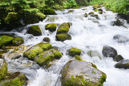creek with running water in mountainの写真素材