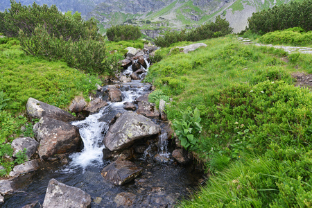 creek with running water in mountainの写真素材