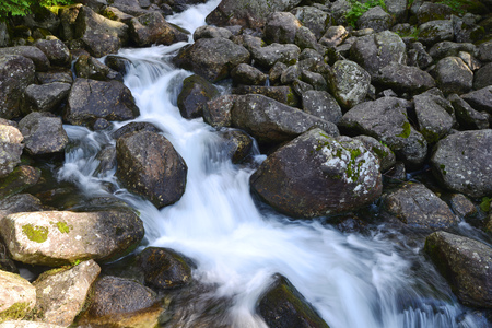 creek with running water in mountainの写真素材