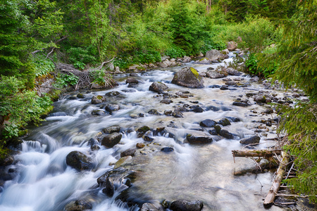 creek with running water in mountainの写真素材