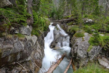 creek with running water in mountainの写真素材