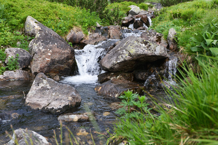 creek with running water in mountainの写真素材