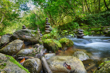 Stones on shore of forest riverの写真素材